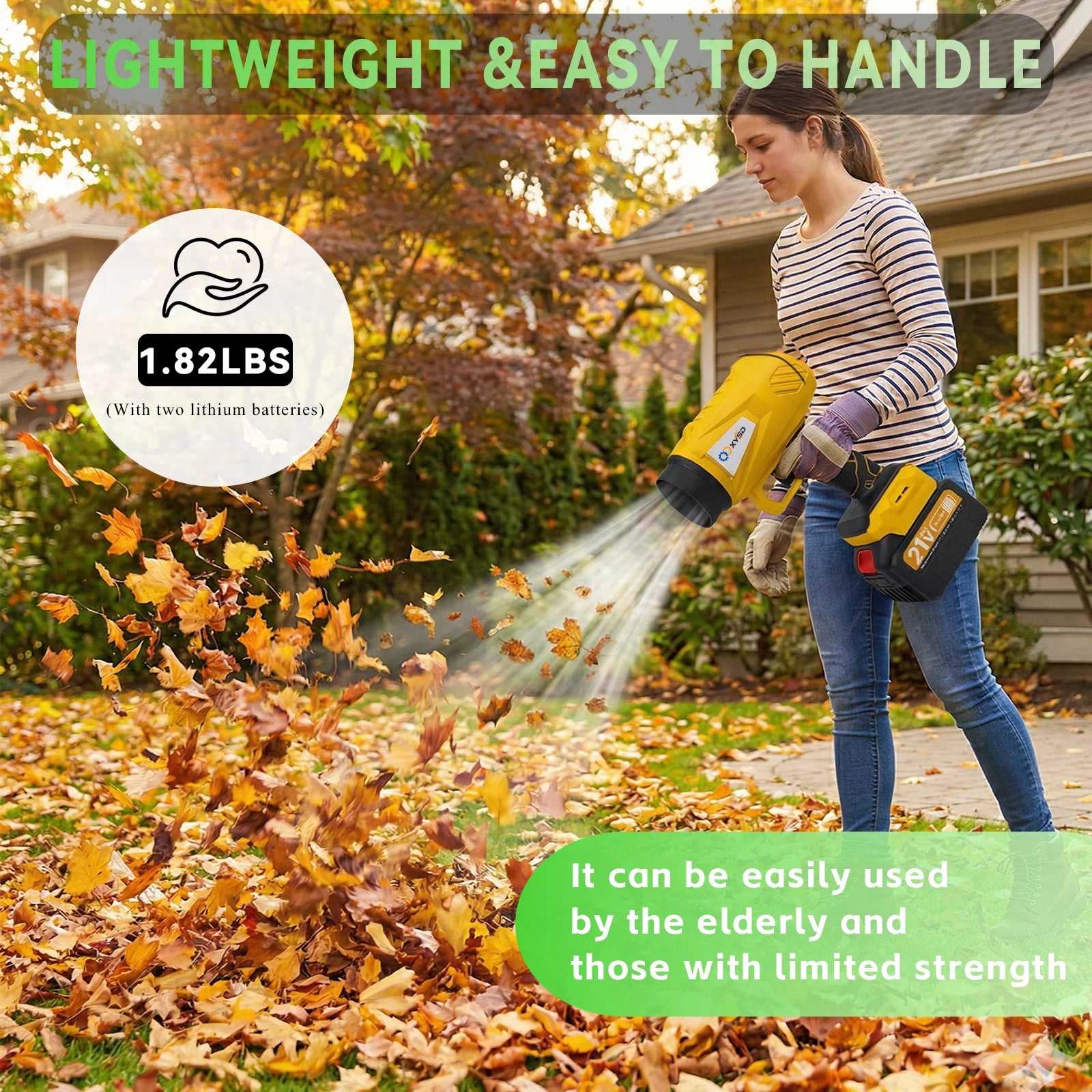 Cordless Leaf Blower